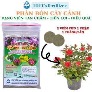 Phân bón cây cảnh TOTT's fertilizer, dạng viên tan chậm gói 24 viên