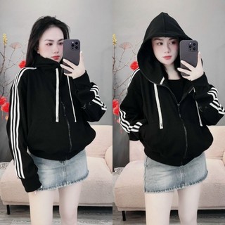 Áo khoác thun gân viền big size