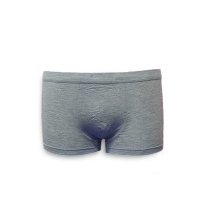 Quần lót nam HMTmoda JB1-1733, dạng đùi, bản lưng to