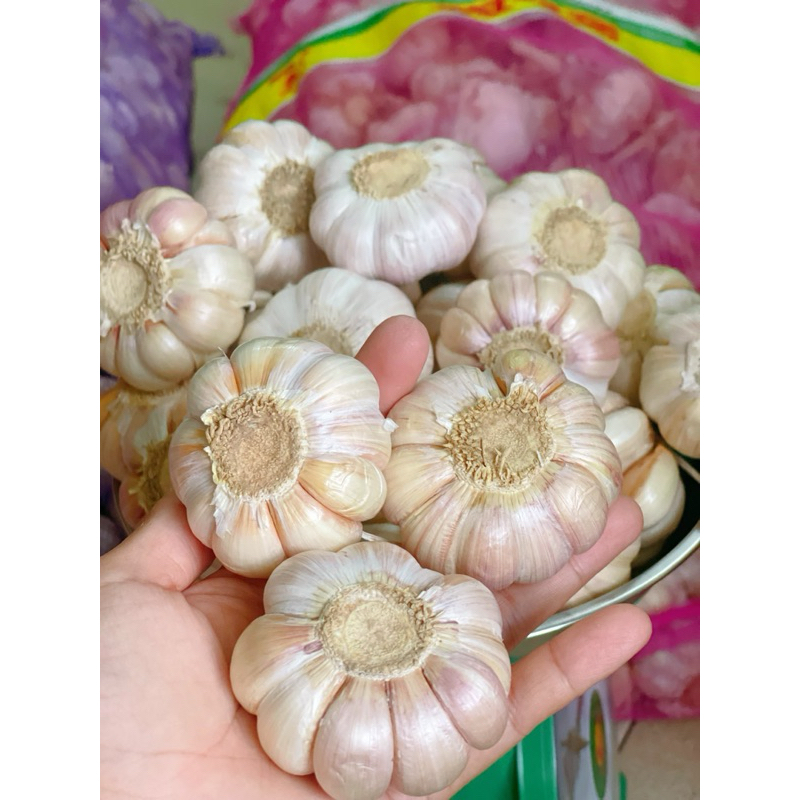Tỏi củ tép to,đã làm sạch loại bỏ tép hư(0,5-1kg).