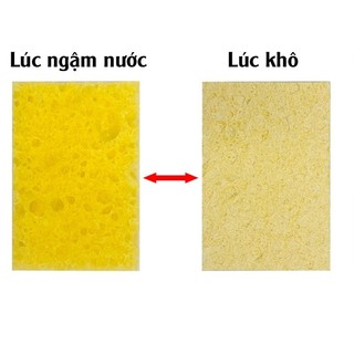 Bọt Biển Vệ Sinh Mũi Hàn Các Loại (miếng chùi thiếc hàn)