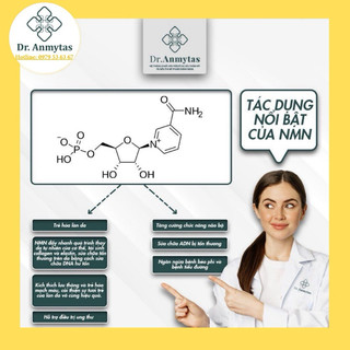 Serum NMN của DR.Anmytas