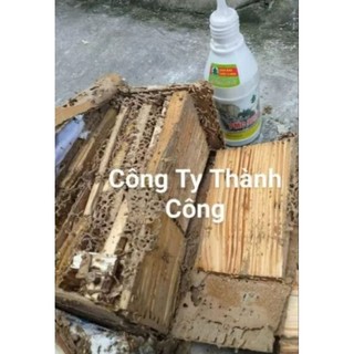 Hộp nhử mối hiệu quả