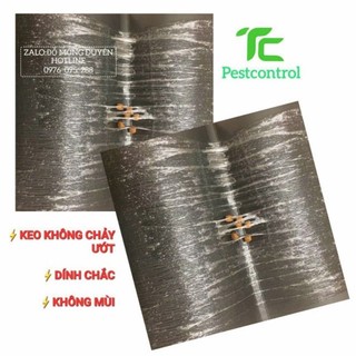 Keo dính chuột siêu dính 10 miếng