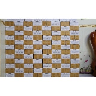 Hộp nhử mối hiệu quả