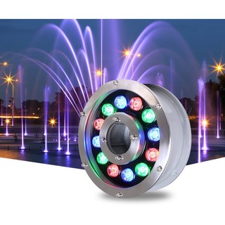 Đèn led âm nước dạng chân đế hắt ip 68 chiếu sáng sân vườn, hồ cá koi, bể bơi gia đình trang trí cây cảnh 9+12/24vac