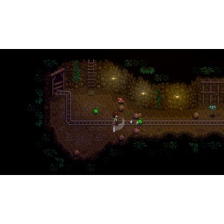 Băng Game Stardew Valley Nintendo Switch