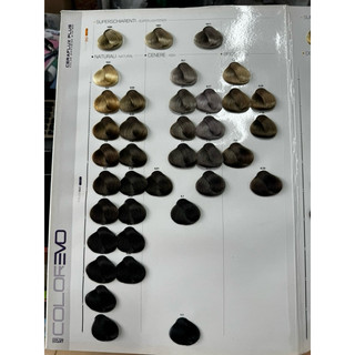 Màu nhuộm Colorevo Selective ( Từ 10 tuýp ib giá sỉ)