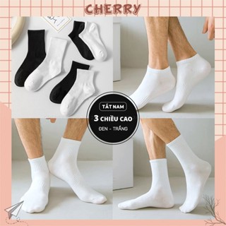 Tất vớ nam 3 chiều cao màu sắc trắng đen trơn đơn giản, chất liệu cotton co giãn thoát mùi tốt - Cherry Shop
