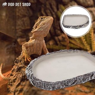 Máng ăn máng nước bò sát - bát ăn bát nước - vân đá lộ xương khủng long - khảo cổ - decor