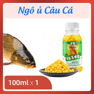 Ngô Tươi Móc Hạt Ngâm Tinh Chất Câu Cá Siêu Nhạy( Thích Hợp Câu Trắm Cỏ,Trắm Đen Công Nghiệp và Chép)