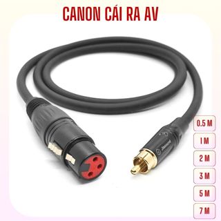  Dây canon cái ra AV dây cắm vang số 