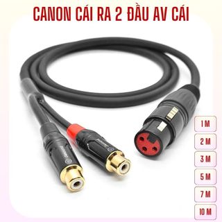 Dây canon cái ra 2 đầu av cái