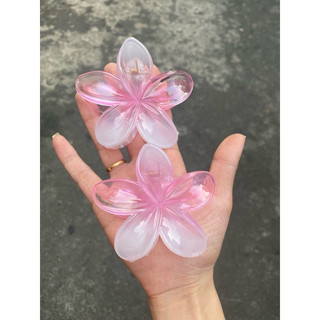 Kẹp hoa sứ hồng thạch + kẹp hoa sứ nhiều màu