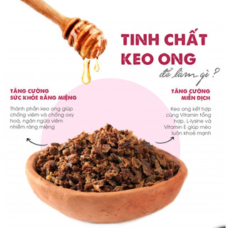 (1KG) THỨC ĂN HẠT TODAY'S DINNER CHO MÈO MỌI LỨA TUỔI
