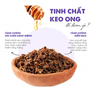 (1KG) THỨC ĂN HẠT TODAY'S DINNER CHO MÈO MỌI LỨA TUỔI