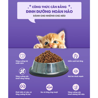 (1KG) THỨC ĂN HẠT TODAY'S DINNER CHO MÈO MỌI LỨA TUỔI
