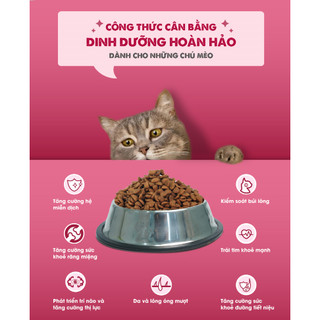 (1KG) THỨC ĂN HẠT TODAY'S DINNER CHO MÈO MỌI LỨA TUỔI