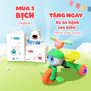 Khi mua 3 bịch yingcool