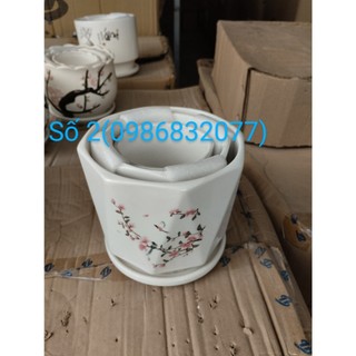 Combo bộ 3 cái chậu sứ trồng cây và hoa