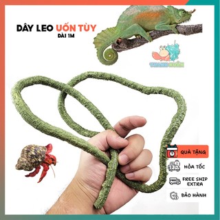 Dây leo trang chí chuồng nuôi cho ốc mượn hồn và bò sát nhỏ dài 1M -nhựa PU - màu xanh rêu và nâu