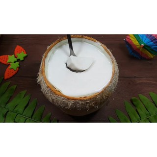 Rau Câu Dẻo Trái Dừa INDONESIA