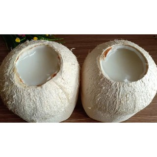 Rau Câu Dẻo Trái Dừa INDONESIA