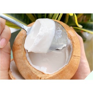 Rau Câu Dẻo Trái Dừa INDONESIA