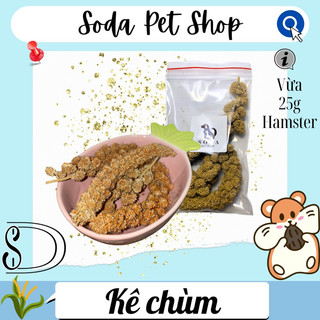 Kê Chùm Cho Hamster