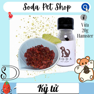 Kỷ Tử Cho Hamster