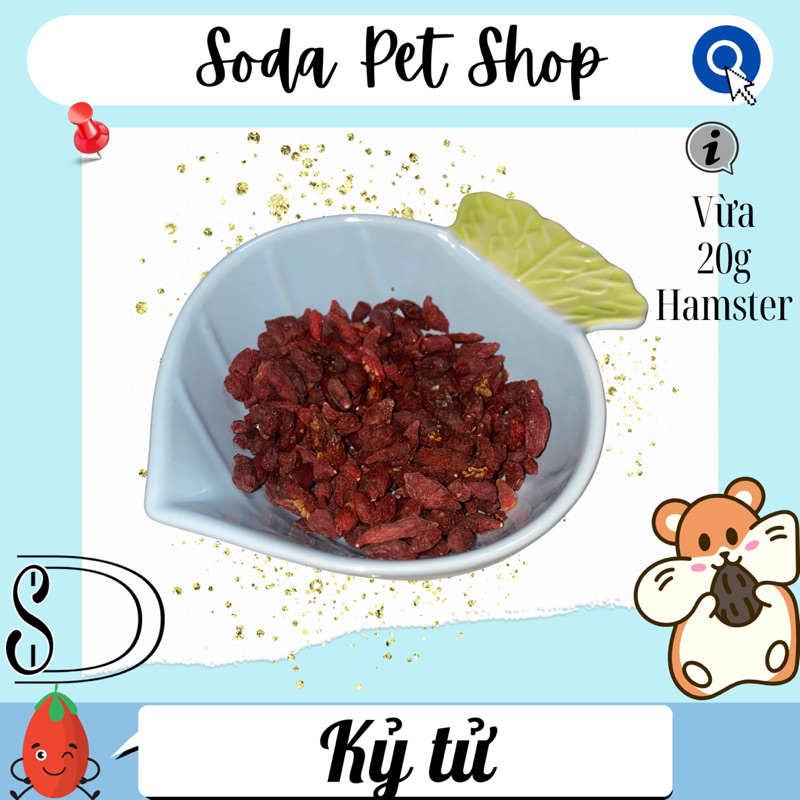 Kỷ Tử Cho Hamster