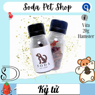 Kỷ Tử Cho Hamster