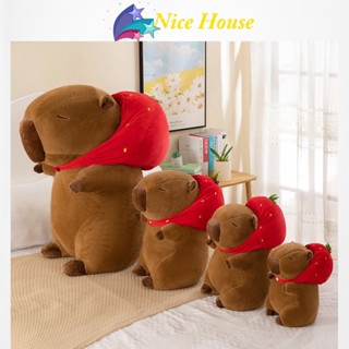 Gấu Bông Chuột Lang  capybara  mũ dâu siêu đáng yêu về full size _ Nice House