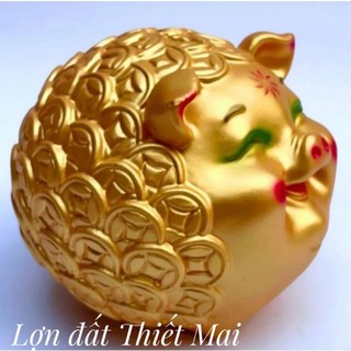 Lợn đất/Heo đất tiết kiệm, heo đất làm quà tặng, Decor trang trí hình heo mắt híp đồng xu size to