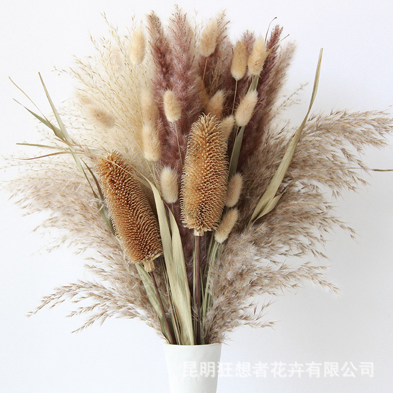 Set hoa khô decor chụp ảnh