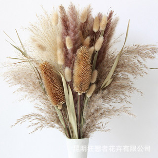 Set hoa khô decor chụp ảnh