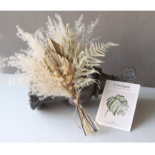 Set hoa khô decor chụp ảnh
