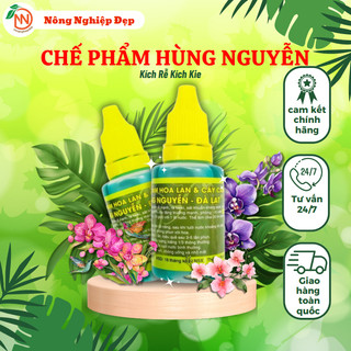 Chế Phẩm Hùng Nguyễn - Kích rễ kích kie