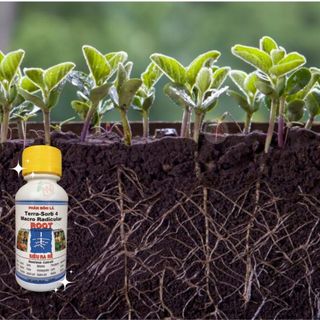 Phân Bón Lá Terra Sorb 4 chai 100ml - Phân Bón Siêu Ra Rễ – Tăng Tốc Độ Ra Cành, Lá