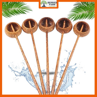 Combo 2 Gáo Dừa tròn múc rượu, muỗng gáo dừa tắm Phật, nước tương, múc nước cốt dâu tằm, trang trí