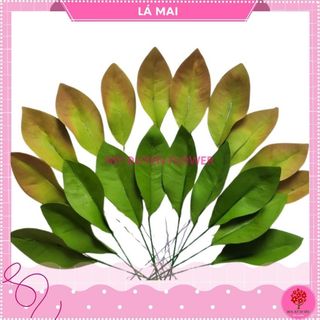 LÁ MAI ĐẤT SÉT (10 LÁ)
