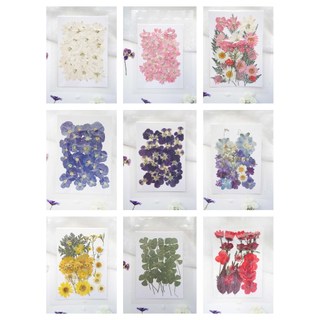 Hoa lá thật ép khô - trang trí con dấu sáp, resin, nến ...
