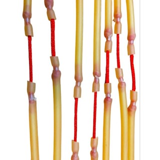 (Dây tròn 1) luồn 2 lớp 2050 loại 1 chơi cá
