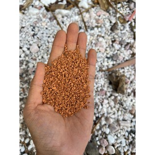 Sạn Gốm Ceramic Soil - lót nền hồ cá, trải nền hồ