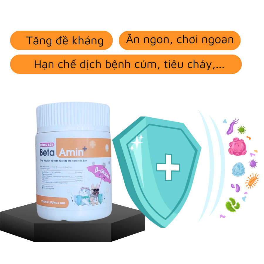 Bột bổ sung lysine cho mèo Ecopets HN Beta Amin tăng miễn dịch, hỗ trợ sức khỏe cho mèo 50gr