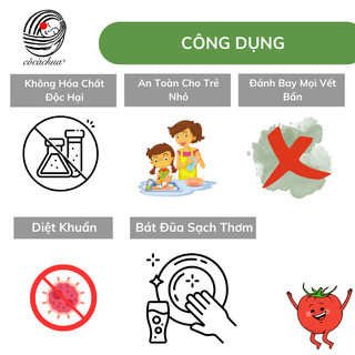 Nước Rửa Chén Sinh Học - Cô cà chua