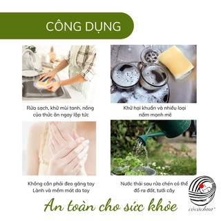 Nước Rửa Chén Sinh Học - Cô cà chua