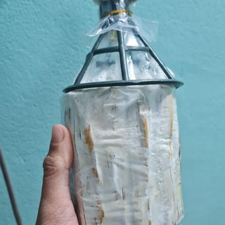 Meo Nấm Mộc Nhĩ - Loại que (Combo 3 bịch meo giống)