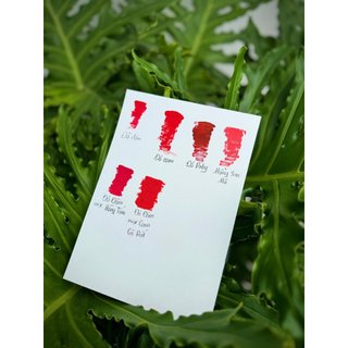 LÊ NA RUBY ] SON MÔI CAM CÀ RỐT chủ đạo