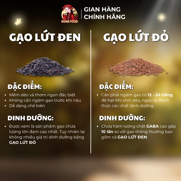 Gạo lứt dẻo Điện Biên Doha Food - Loại 1 dẻo thơm Túi - 1Kg - GLD01 | BigBuy360 - bigbuy360.vn